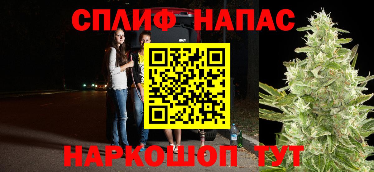 Конопля план Дубна